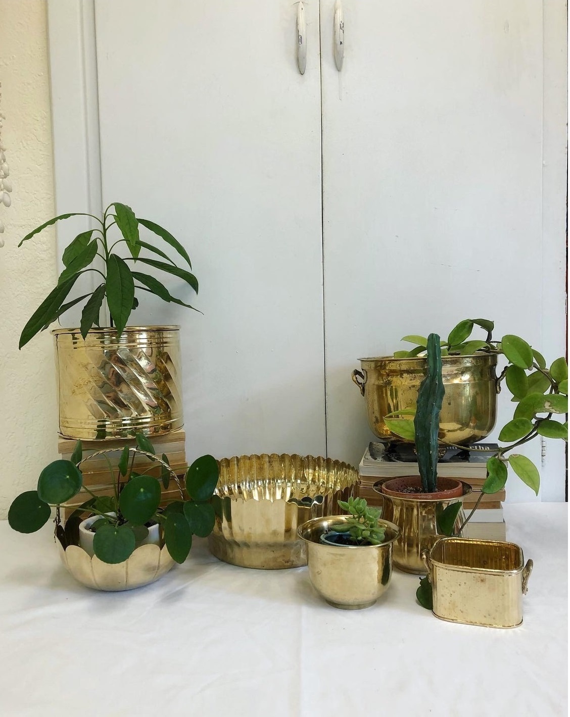 Brass Pair Of Vase For Indoor