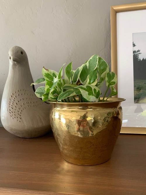 Copper Mug Succulent Planter