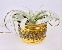 Brass Small Texture Planter
