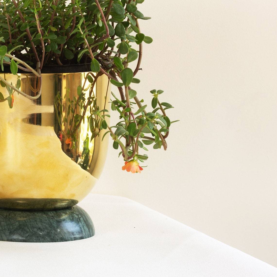 Brass Gold Swan Planter