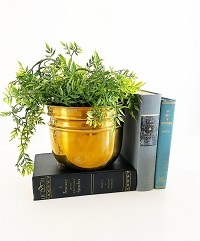 Brass Gold Swan Planter