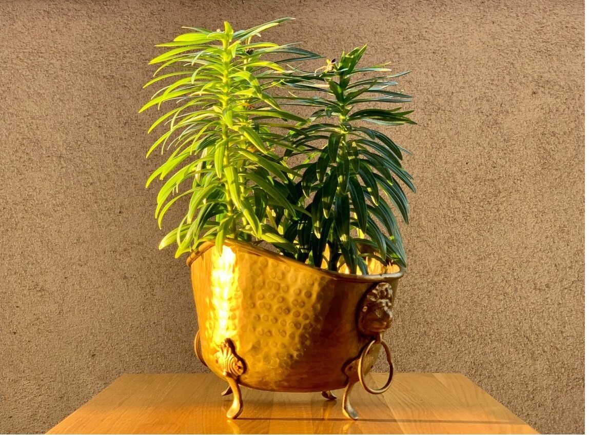 Brass Vintage Ne Look Planter