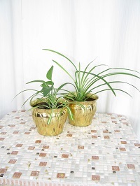 Brass Large Size Indoor Vase