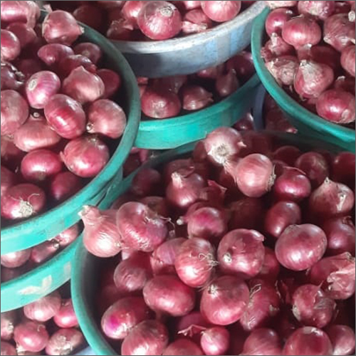 Natural Red Golta Onion