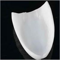 व्यंग्य पट्टिका