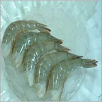 ब्लैक टाइगर हेडलेस