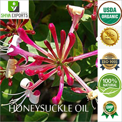 Honeysuckle Oil