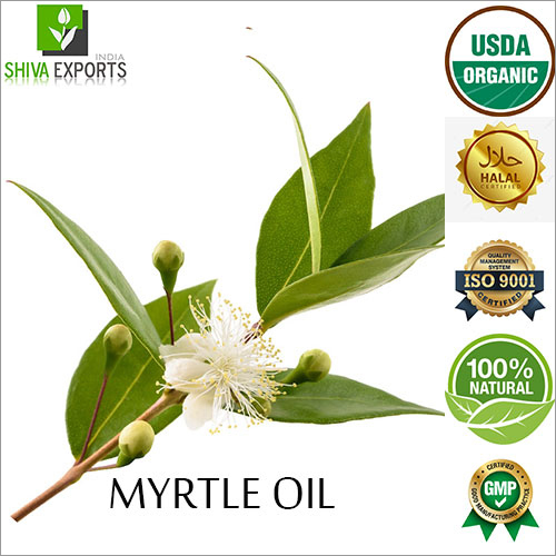 Myrtle Oil