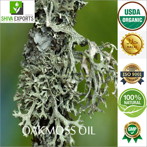 Oakmoss Oil - Solvent Extracted, Green | Botanical Name: Evernia Prunastri, Shelf Life: 2 Years, Glass Bottle Packaging