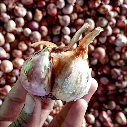 Natural Red Round Onion - Organic, Fresh, Natural Shape | Ideal For Culinary Uses And Flavorful Cooking