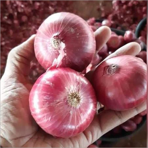 Natural Red Round Onion - Organic, Fresh, Natural Shape | Ideal For Culinary Uses And Flavorful Cooking