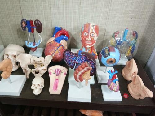 नर्सिंग मानिकिन