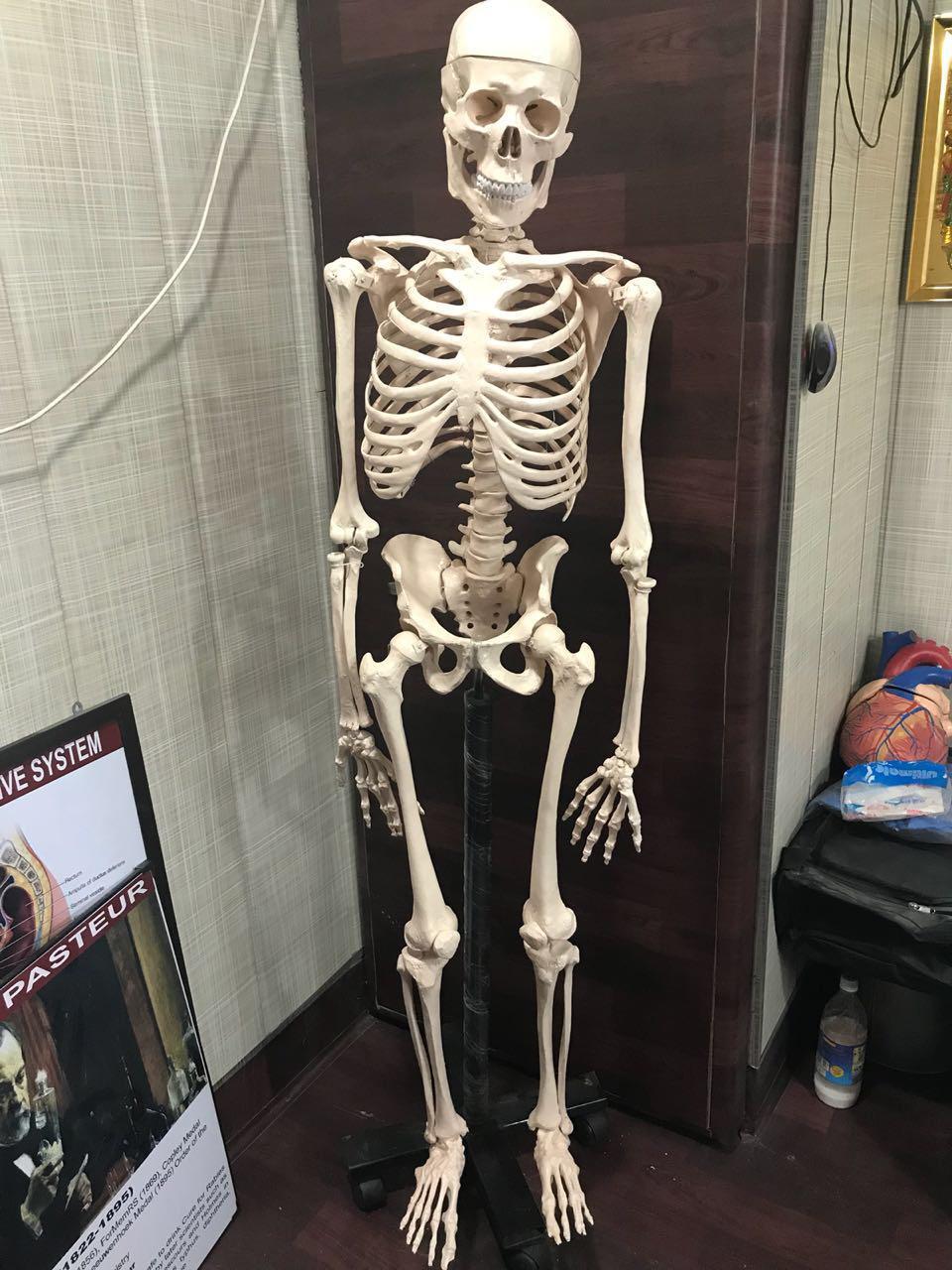 Nursing Lab Instruments And Models
