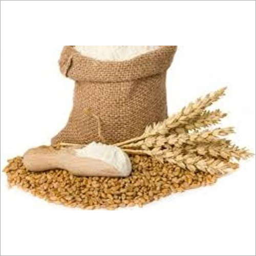 Wheat Starch - 50kg Bulk, White Powder With 100% Purity, Neutral Flavor, 13% Moisture, Non-gmo, Gluten-free, Suitable For Food & Technical Applications