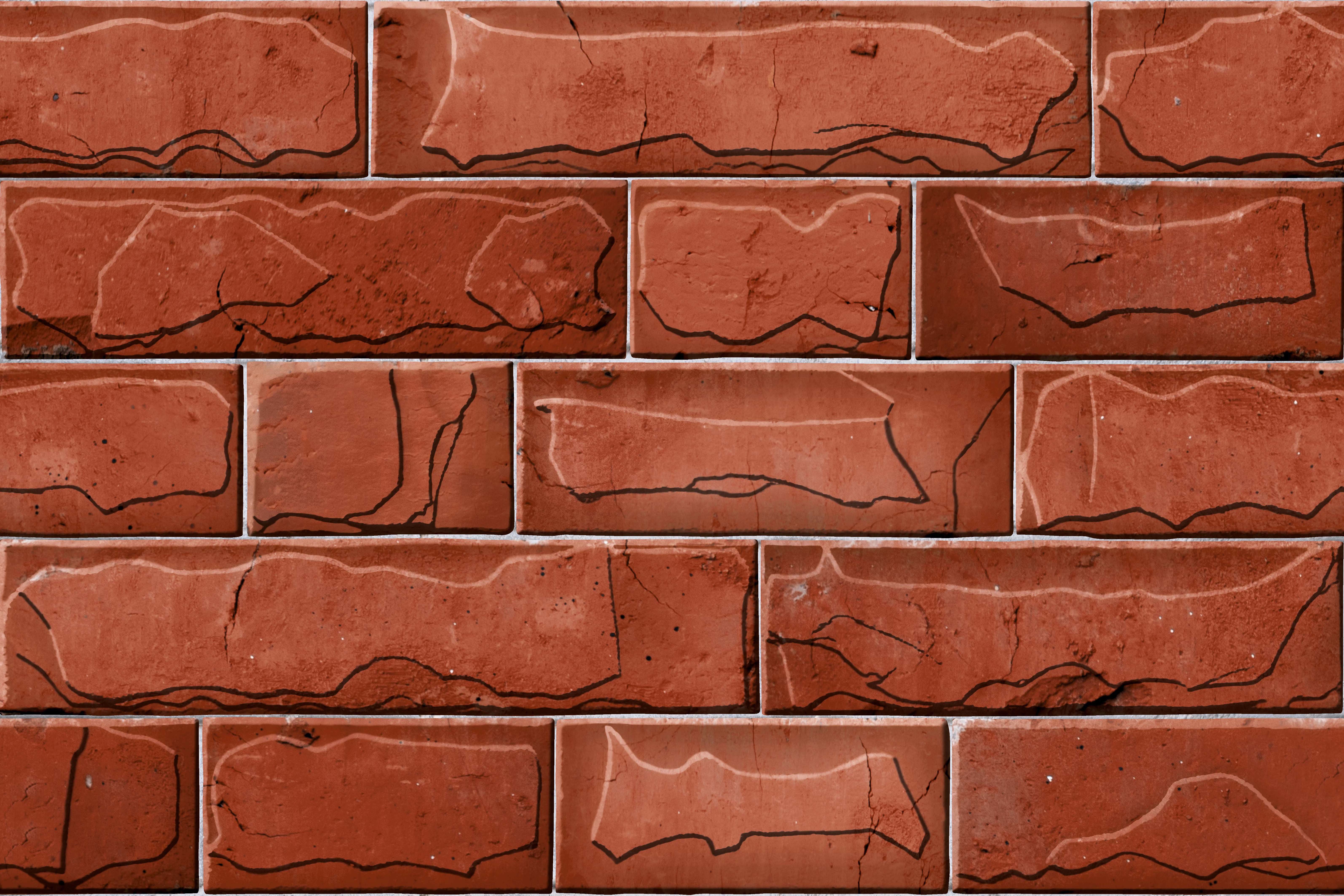 Multi Color 30 X 45 Cm Elevatione Tiles