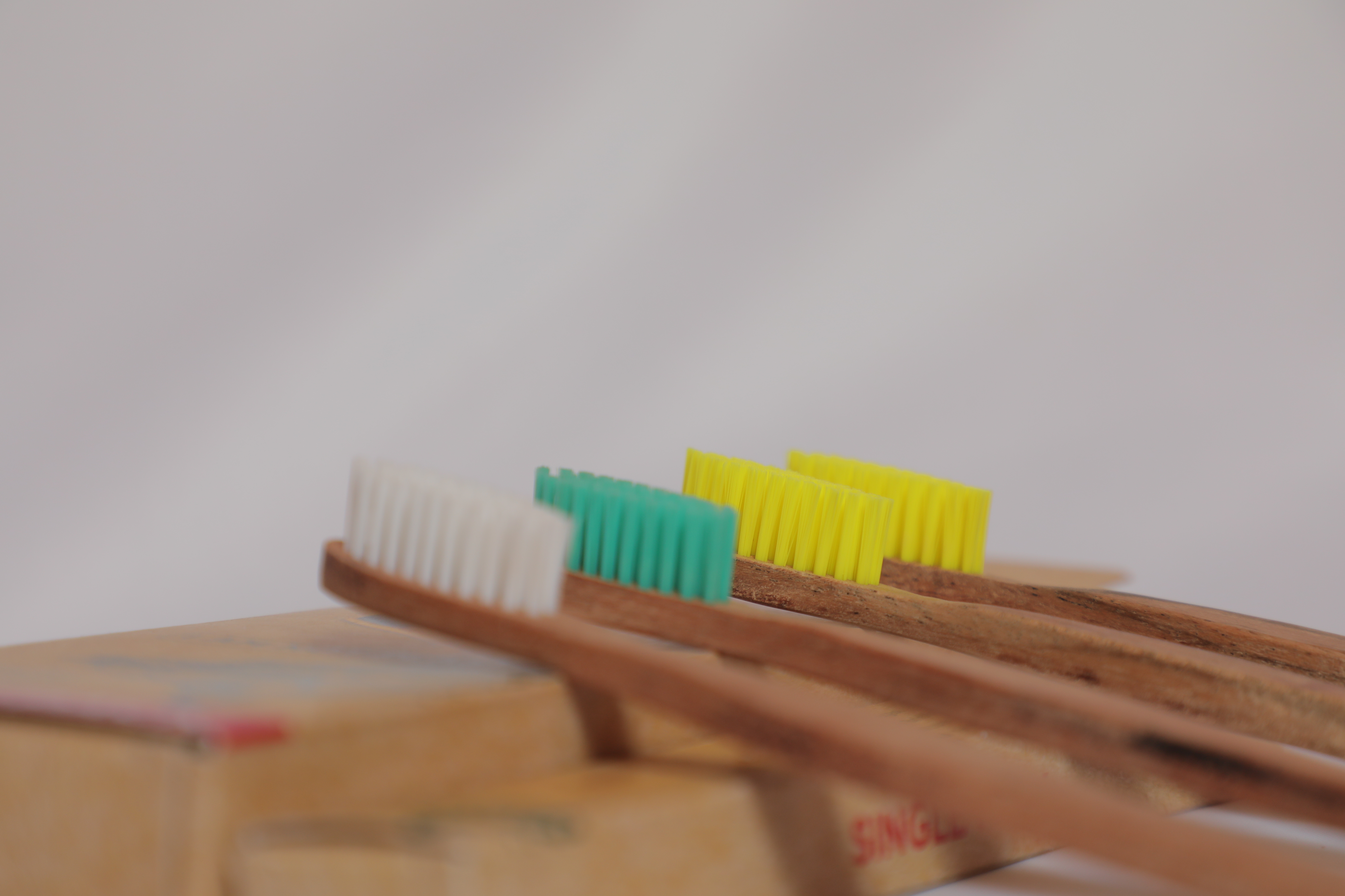 Babool Wood Tooth Brush