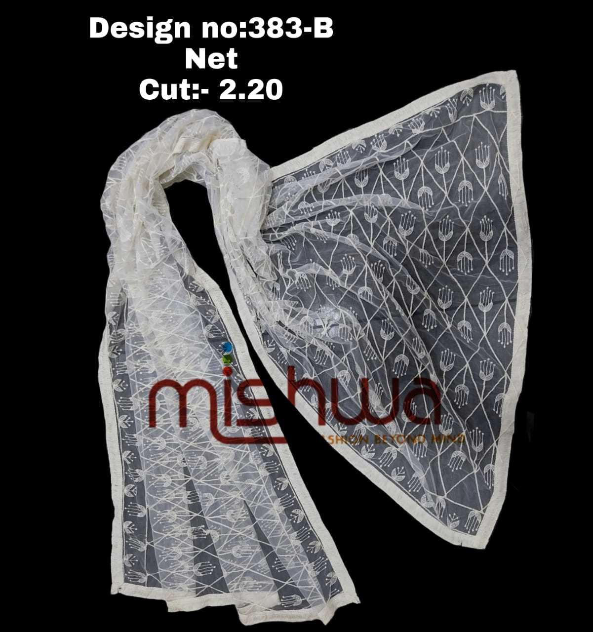 Indian Women White Net Dupatta
