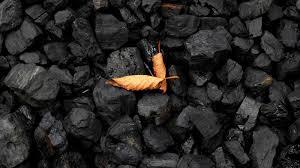 AUSTRALIAN COAL (06 TO 20 MM)