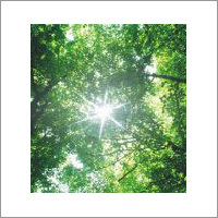 हरित रसायन प्रमाणन सेवाएँ