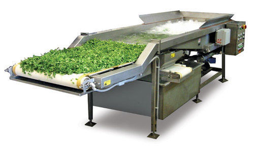 Vegetable Processing Capacity: 500 Kg/hr