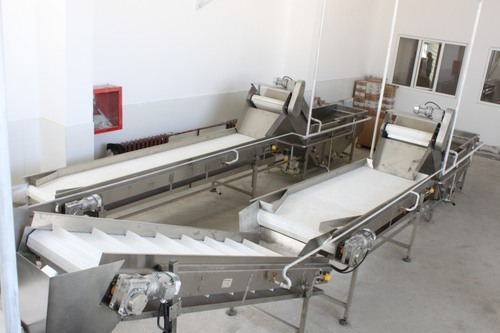 Fruits Processing Machine