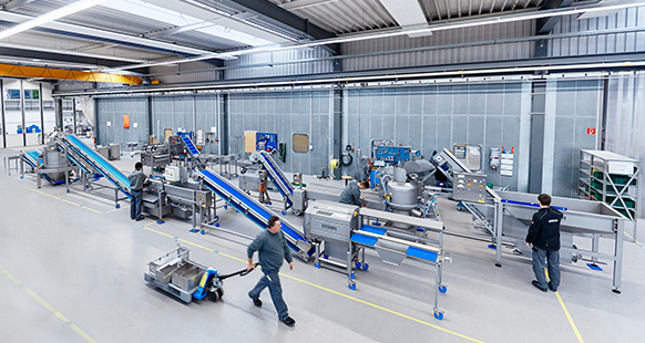 Fruits Processing Machine