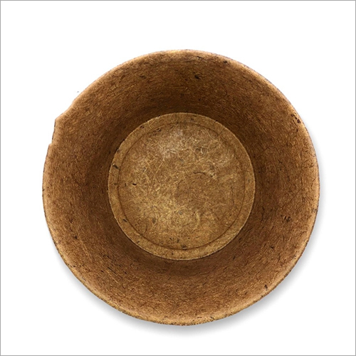 कोको बीज गुड़िया के कप