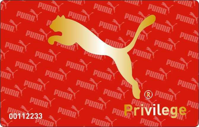 Special Premium Cards - Pvc, 85x54mm, Multi Color, 800 Microns, Glossy Finish | Water Resistant With Gold & Silver Foiling Effects