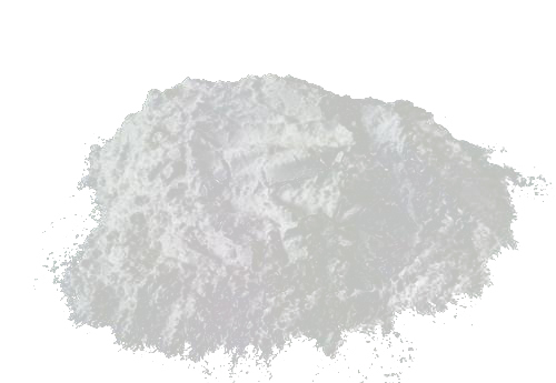 Green Coffee Bean Extract- Chlorogenic Acid
