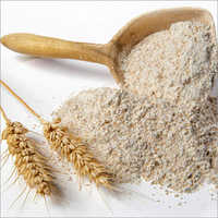 Wheat Flour