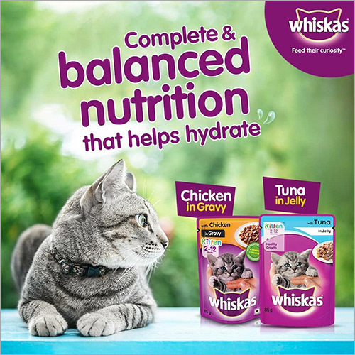 व्हिस्कस वेट फूड