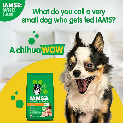 Iams Small & Medium Breed Food