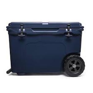 डिस्प्ले के साथ कॉनएक्सपोर्ट ब्लड बैग आइस बॉक्स