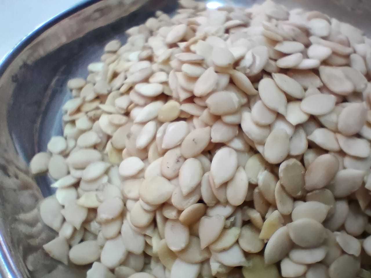 Watermelon Kernels - Color: White