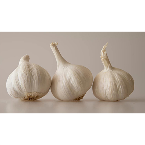 Fresh White Garlic Grade: A