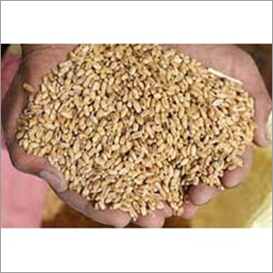 Brown Whole Wheat
