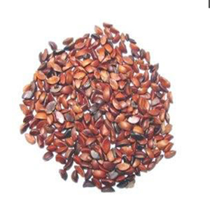 आंवला सीड्स ग्रेड: खाना