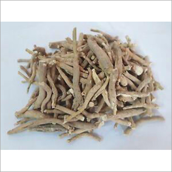 Ashwagandha Roots - Natural Roots for Holistic Practices | Store in a Dry Place, Ideal for Herbal Remedies and Dietary Use