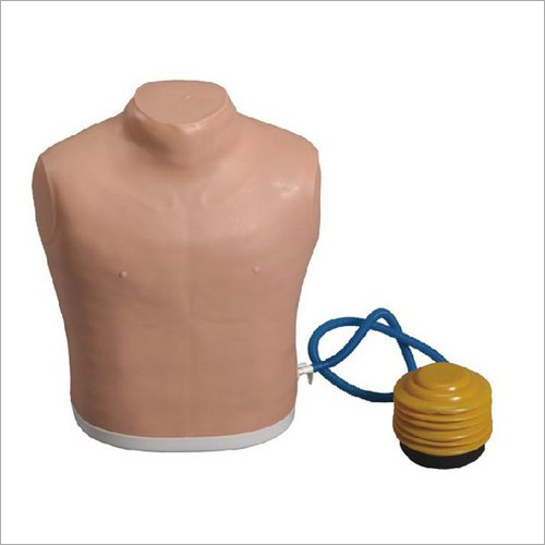Pneumothorax Treating Model