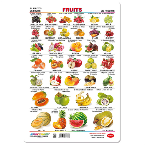 Fruits Educational Wall Chart - Art Card Material, 32 X 47 cm Size | Soft Laminated, Vibrant Images, Round Cornered Edges, Multilingual Labels