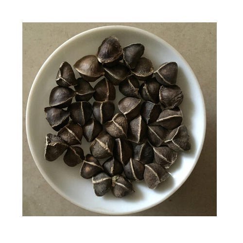 Moringa Seeds Without Wings