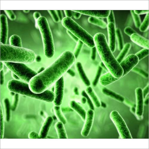 सेल्युलोमोनास कार्टे प्रोबायोटिक्स