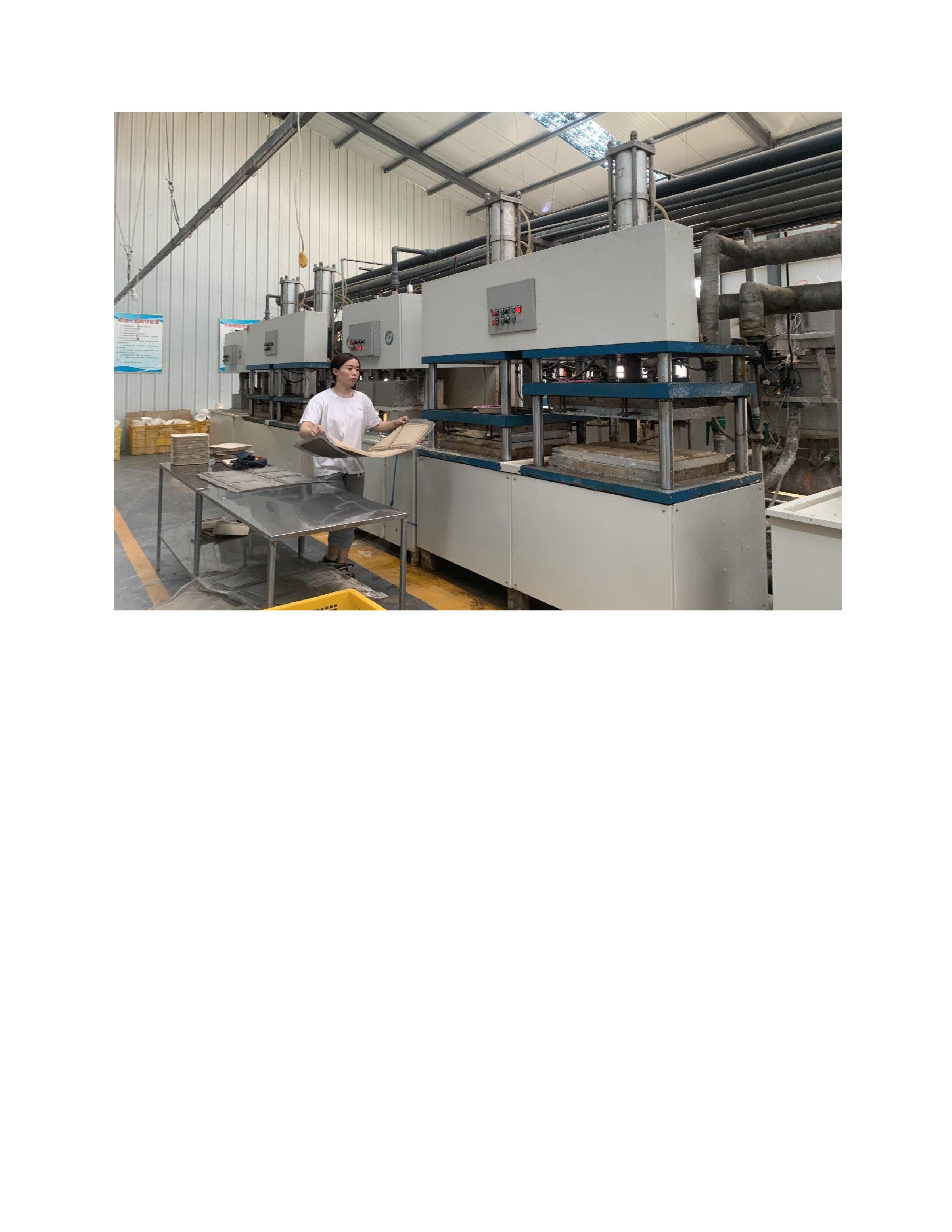 Pulp Tablewar Plates And Lunch Box Machine Capacity: 500 Kg/day