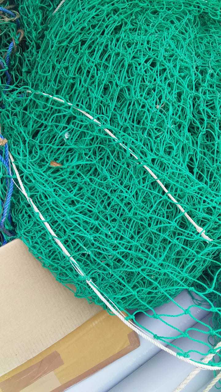 Monkey Protection Net At Terrace at 5000.00 INR in New Delhi | Vpestify ...