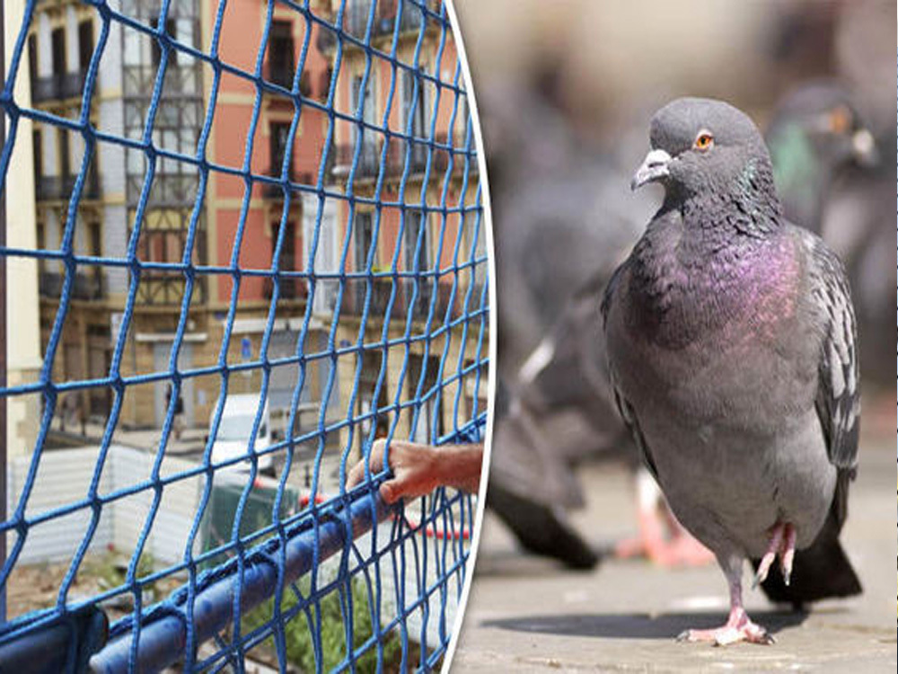 Polycarbonate Transparent Bird Net - Length: 100 Foot (Ft)