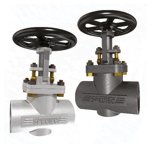 Extended Bonnet Globe-Gate Valve F-E