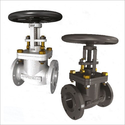 Globe - Gate Valve