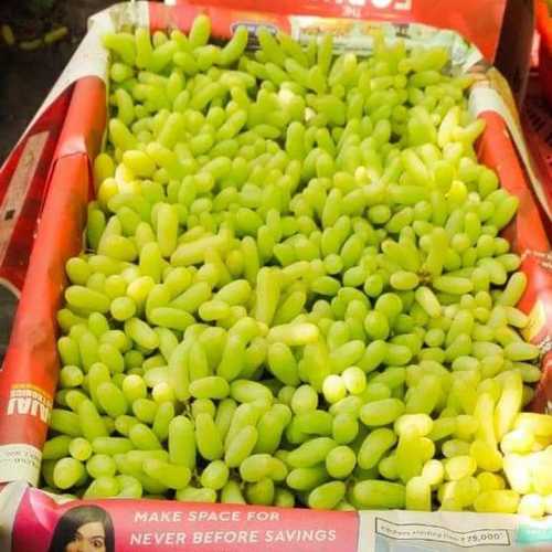 सुपर सोनाका अंगूर के आपूर्तिकर्ता