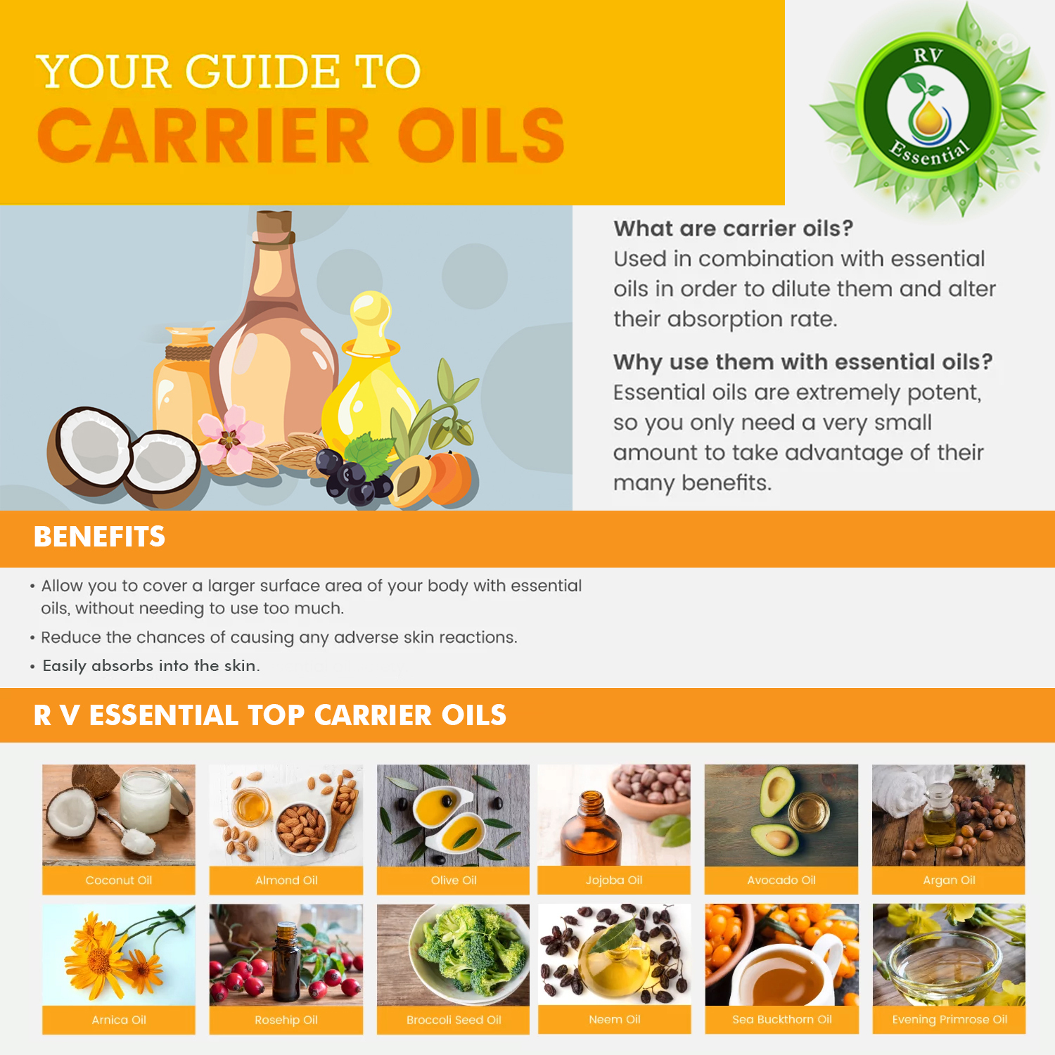 Tea Seed Carrier Oil - 100% Pure And Natural Cold Pressed | Moisturizer, Hair Conditioner, Antioxidant, Reduces Inflammation, Heals Scars, Promotes Nail Growth