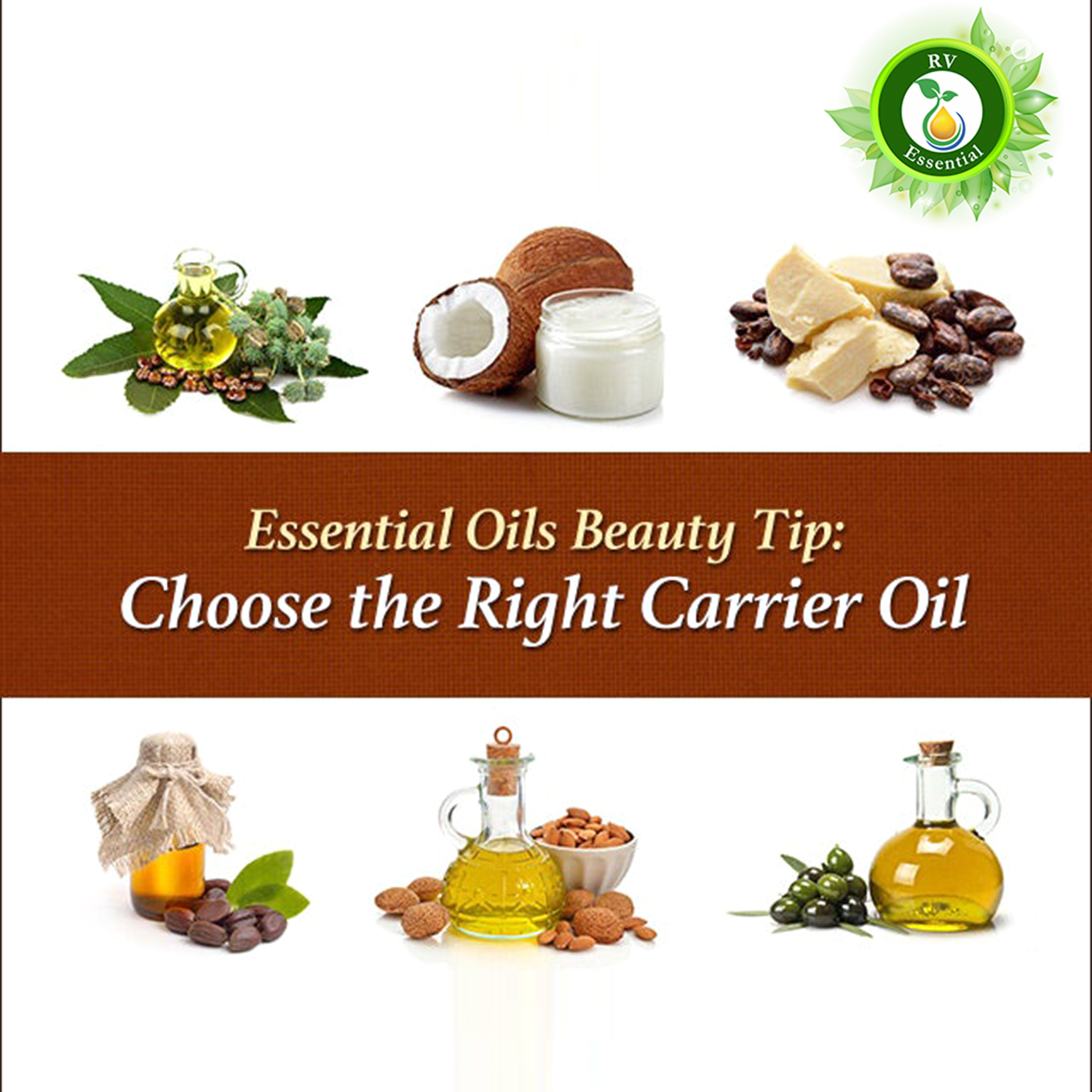 Tea Seed Carrier Oil - 100% Pure And Natural Cold Pressed | Moisturizer, Hair Conditioner, Antioxidant, Reduces Inflammation, Heals Scars, Promotes Nail Growth